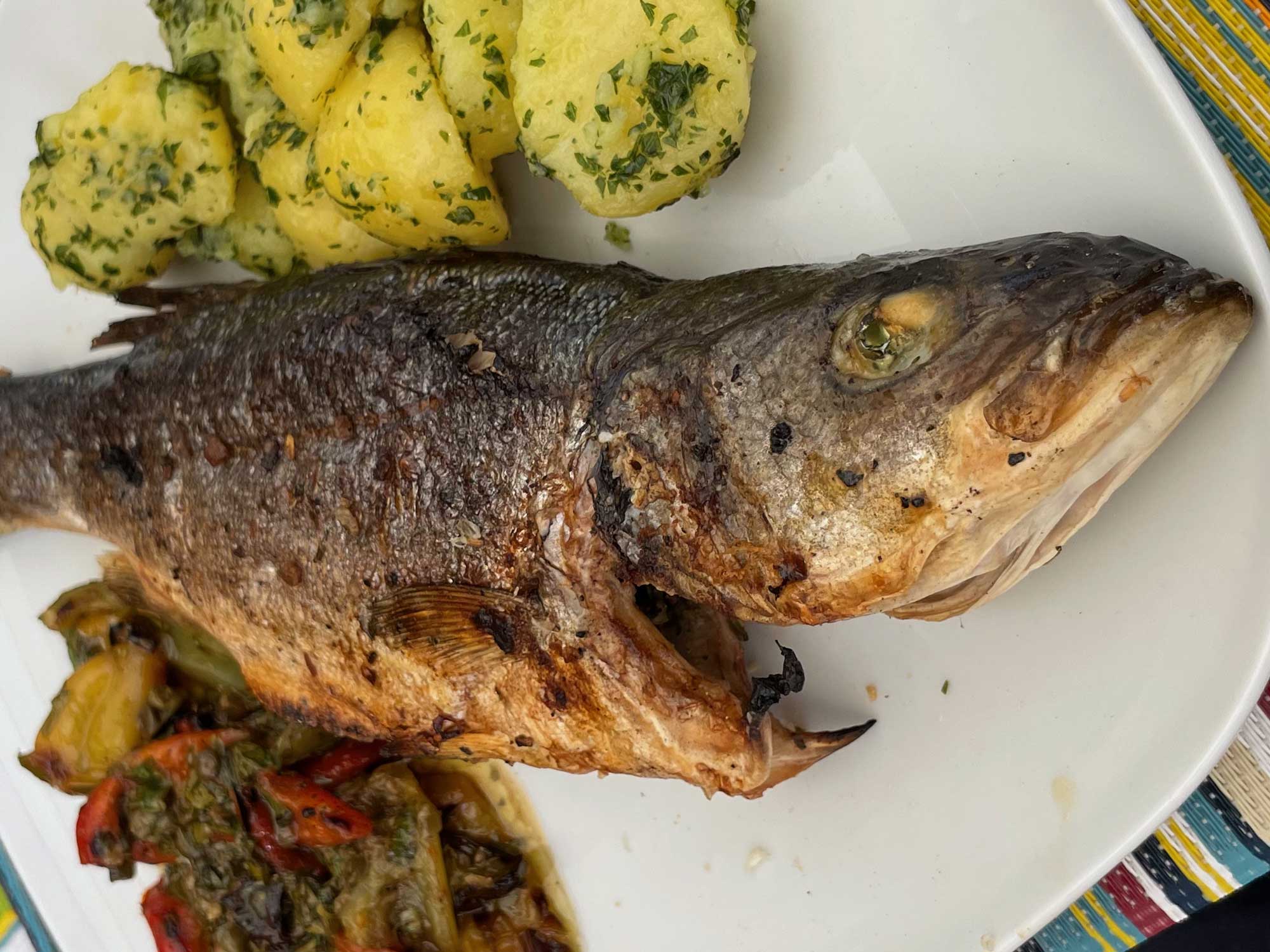 Gegrillte Goldbrasse, Branzino vom Grill mit Petersilerdäpfel
